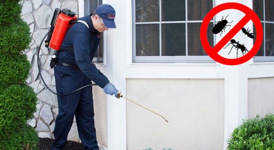 Akçadağ Gümüşkurt İlaçlama böcek ilaçlama ve haşere kontrolü — ilaclama-tr.com